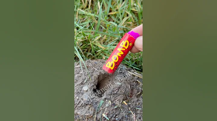 firecracker underground Power Test #shorts #cracker #tricks #fireworks #firecracker