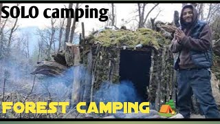 SOLO Bushcraft Camping Build Warm Underground ROOT house। पेड़ के जड़ में घर बनाया।SurvivalSkills
