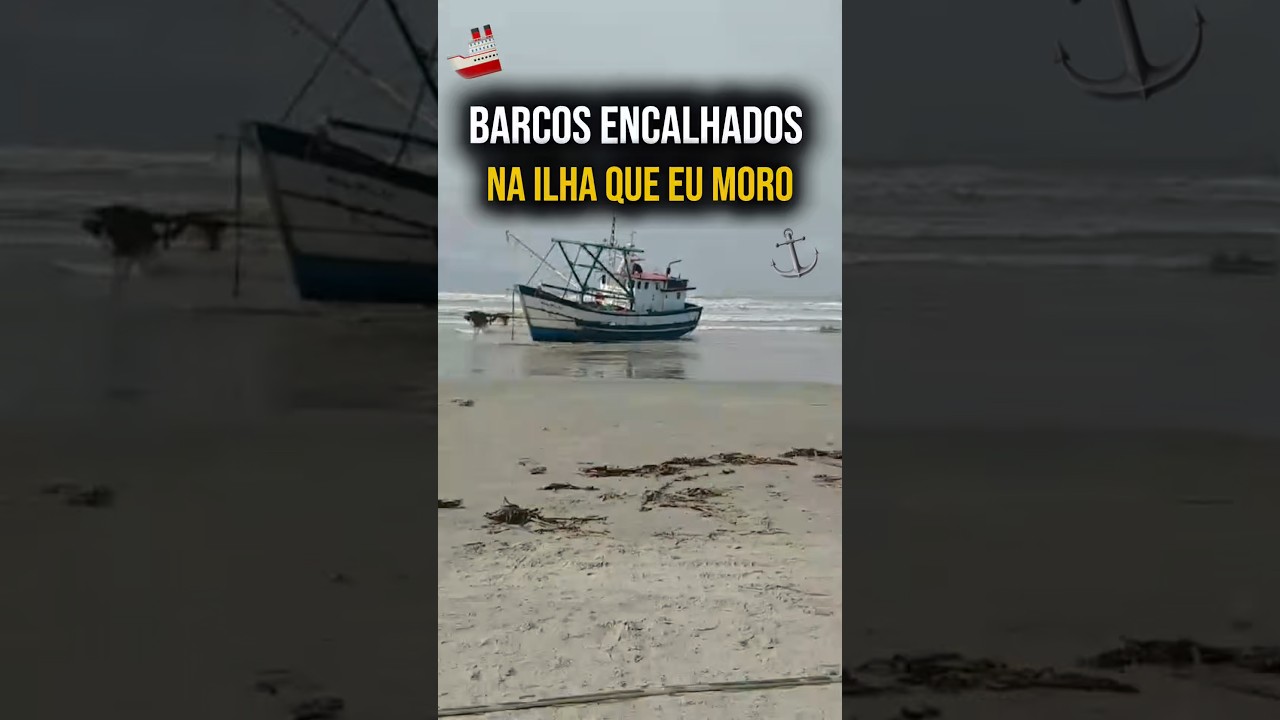 BARCOS ENCALHADOS NA ILHA QUE EU MORO #flowerchallenge #ilha #morandoemilha #vlog #dicas
