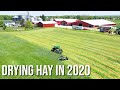 How to Dry Hay: Proper Conditioning And Luck!