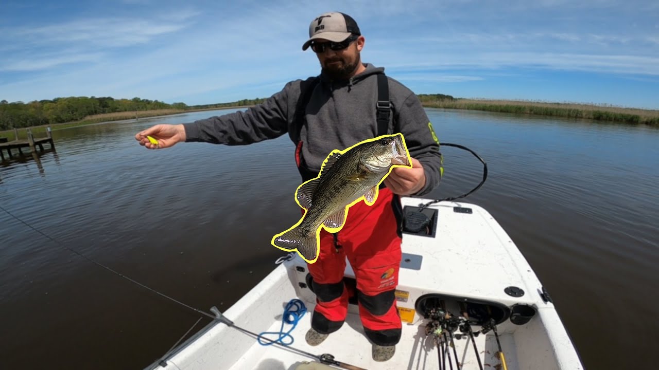 Bass Fishing Tidal Waters in VA! The Fish are Spawning! YouTube