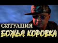 Божья Коровка - Ситуация