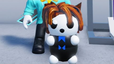 Roblox Find the Panda