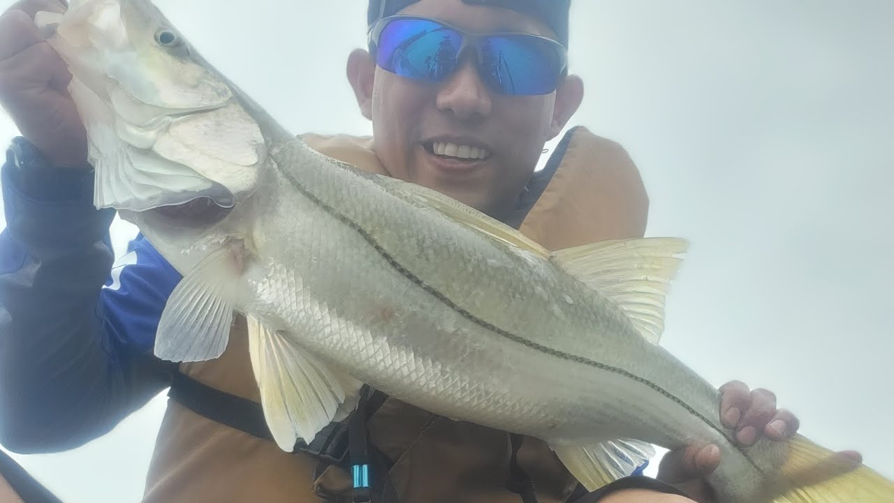 Snook fishing in south texas. YouTube