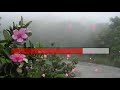 Em Đã Về Chưa - Thơ Songthy - Nhạc Dương Thượng Trúc