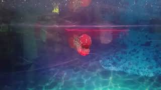 20150626 102224