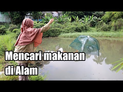 Mencari Makanan di