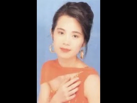 Παρακολούθηση 最后的谈判：林美美 στο YouTube