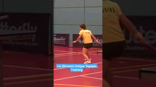 Liu Shiwen's Unique Topspin Training