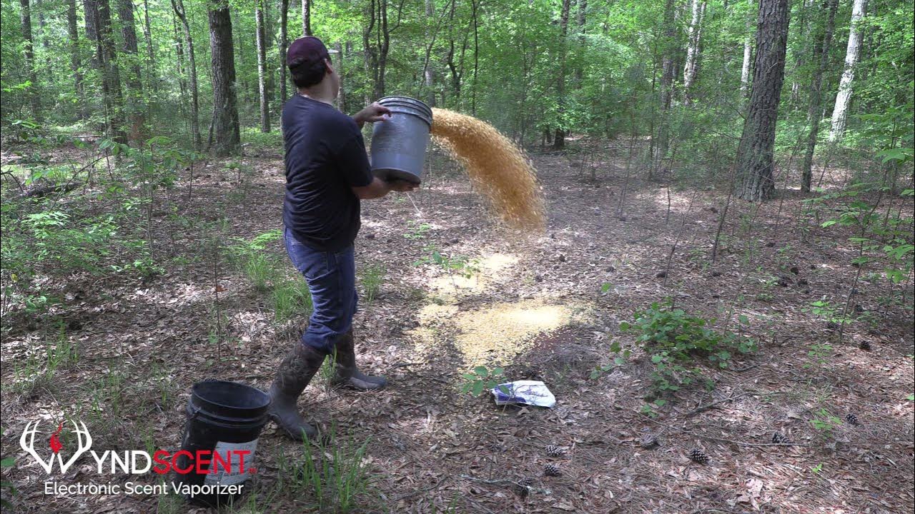 Daily Blog How to set up a new Tactacam Reveal X YouTube