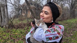 Download Lagu SHE LIVES ALONE IN THE HEART OF THE FORESTS - A LITTLE PARADISE IN THE HEART OF NATURE MP3