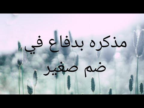 مذكرة دفاع بضم صغير عن المدعية