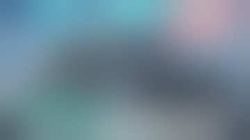 100% ОТМЕТКИ на FIREBIRD! ДАЮ В ГОЛОВУ ЧЕРЕЗ ВСЮ КАРТУ