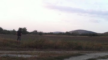 Walkera 120d05 fun fly with wood blades