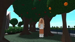 how much i make in bloxburg from my apple tree farm
