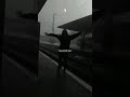 حالات واتس يارا احمد   توبه نصدق تاني ضحكك يا هوى