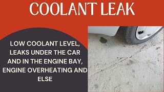 Symptoms Of A Coolant Leak On Your Car-Low Coolant Level, Leaks and Else