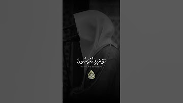 تلاوة وايات تزلزل القلوب 😱 | بصوت القارئ موسى الصمادي