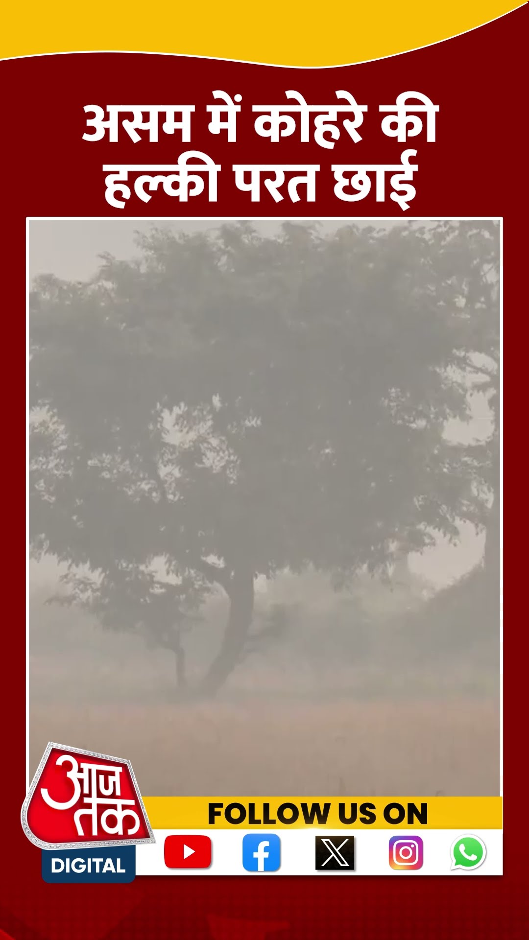 Assam में कोहरे की हल्की परत छाई | #assam #assamfog #aajtakshorts