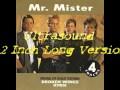 Mr Mister Broken Wings Ultrasound 12 Inch Long Version