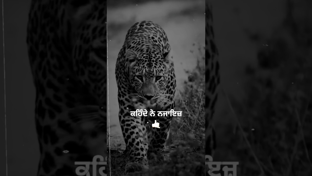 Watch SANDD | GAGGU SAJJAN | NEW PUNJABI SONG STATUS #gaggusajjan #trending #punjabistatus #shorts on YouTube Watch SANDD | GAGGU SAJJAN | NEW PUNJABI SONG STATUS #gaggusajjan #trending #punjabistatus #shorts on YouTube