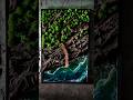 Wall Art / Epoxy Resin, Wood, Moss - Resin Diorama / Home Decor DIY Resin Waves