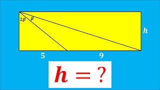 What is the height of rectangle?