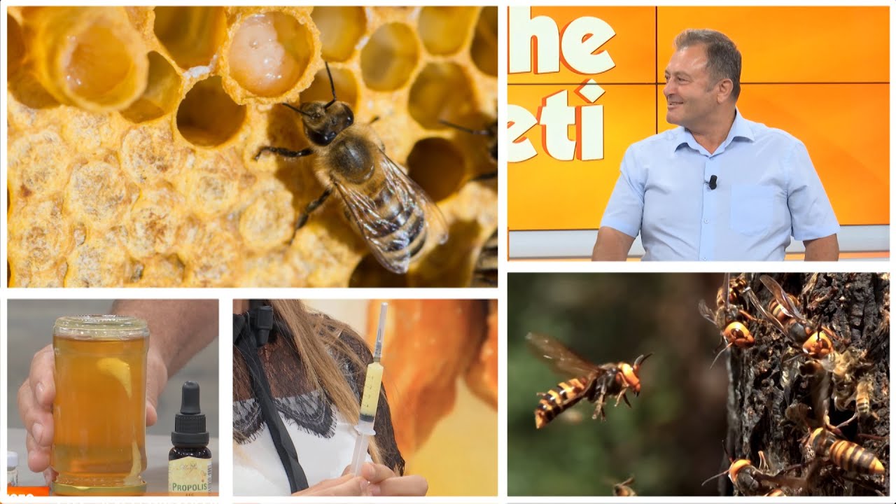 Qumështi i bletës bën mrekulli në trupin tuaj! Ylli Merja: Ja si ta përdorni, dozat e duhura