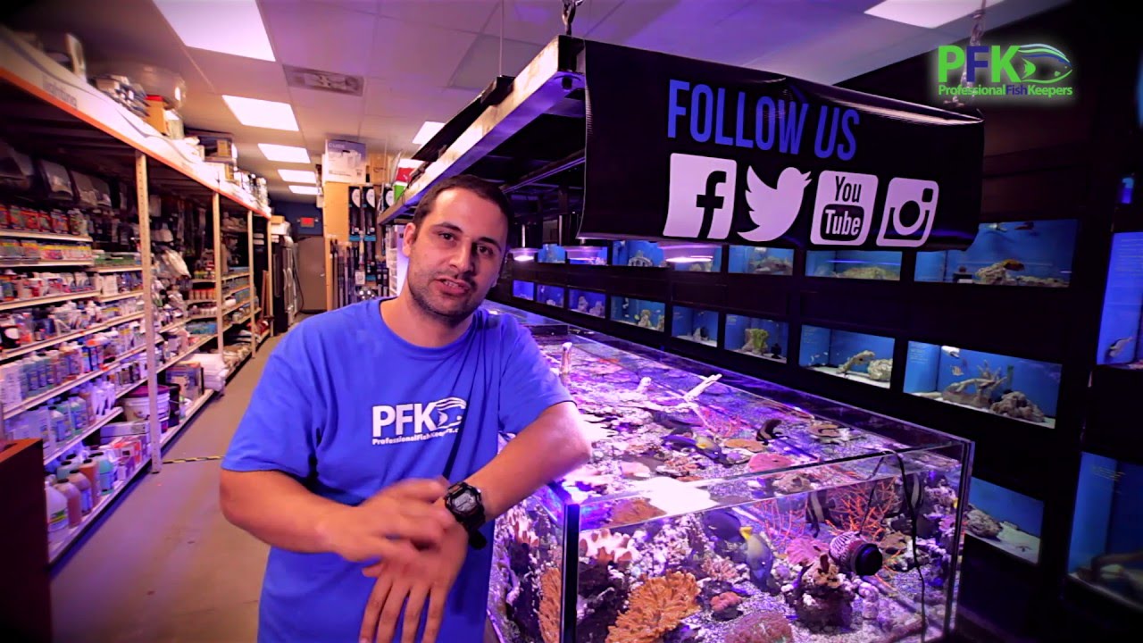 aquatic fish store near me aquatic fish store near me