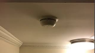 Smoke Detector Chirp