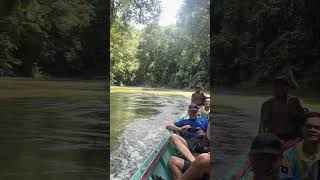 Dangerous River in The world #borneo #dangerous #kapuashulu #betungkerihun #rainforest