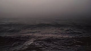 you found calm within the storm (playlist)