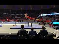 Brandon dang pommel horse 4524