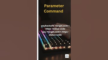 Quick Tips for Finding Vulnerable Parameters | Bug Bounty Hacks