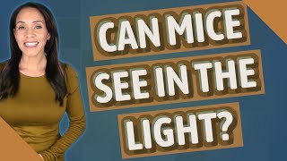 Can mice see in the light