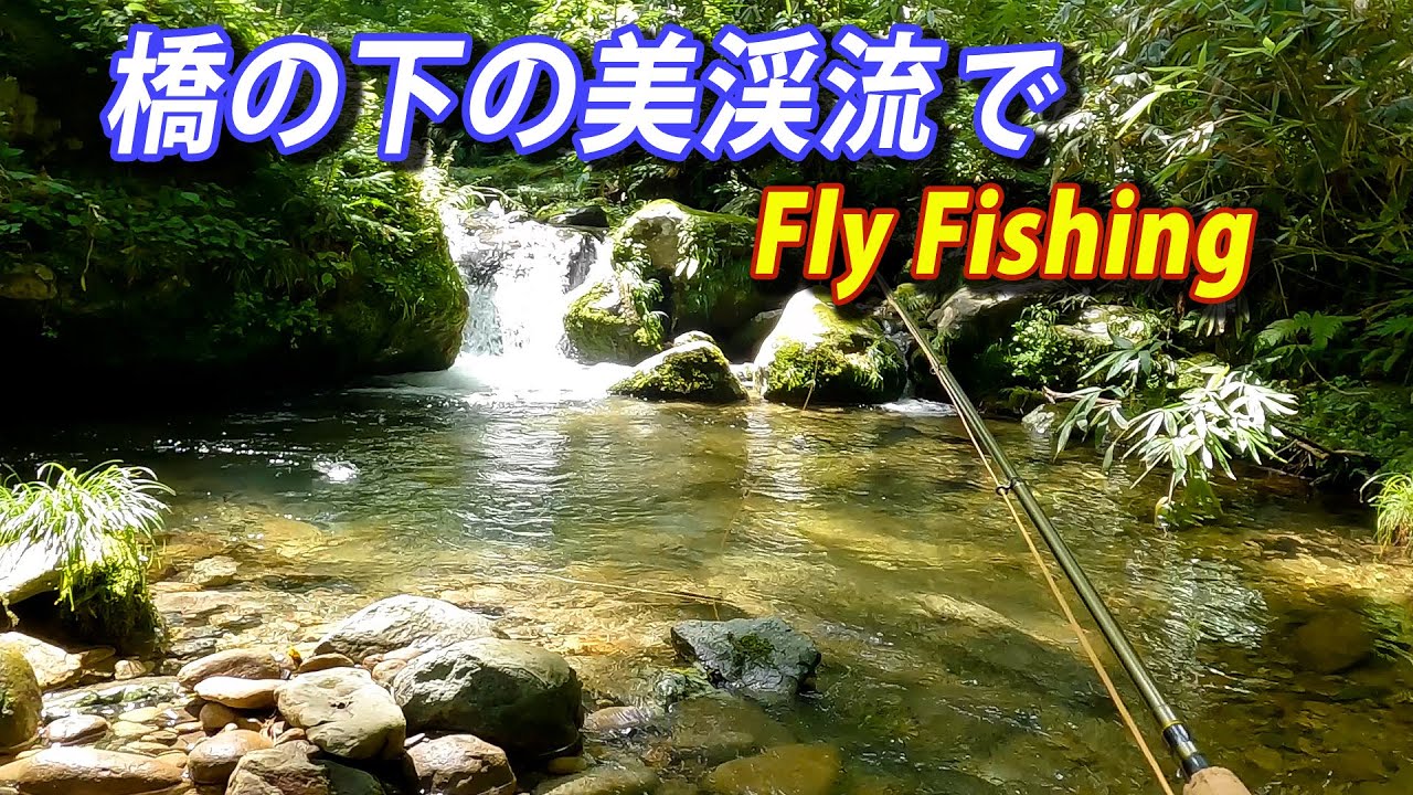 Маленький летний голец и красивый небольшой ручей