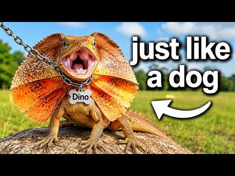 Terra Green: I Got a Dinosaur Pet and Instantly Regretted It