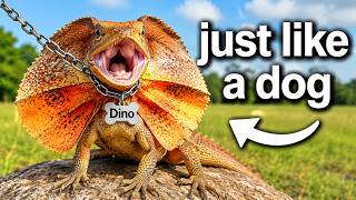 Terra Green: I Got a Dinosaur Pet and Instantly Regretted It