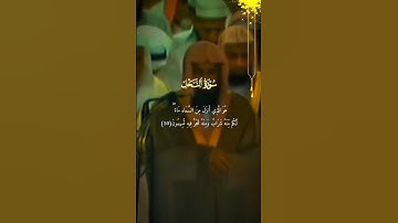 أجمل تلاوة خاشعة ! الشيخ سعود الشريم