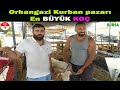 Kurban Pazarı Bursa Orhangazi / 2020 Fiyatlar / OAÇ TV