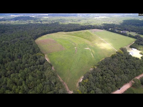 354 Johnson King Road, Swansea, SC home video tour