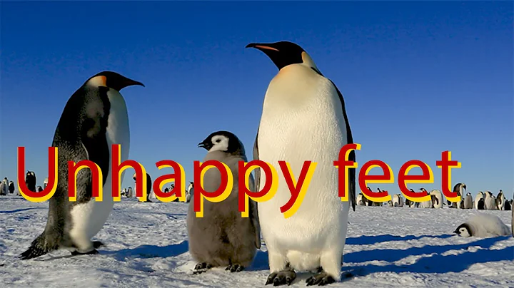 The Emperor penguin and the doomsday glacier - unhappy feet