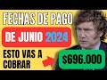  cuando y cuanto cobro anses junio 2024  jubilados pensionados pnc  fechas de pago con bono