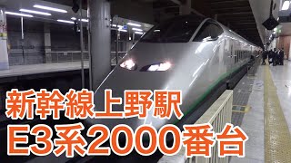 E3系2000番台単編成【つばさ107号 山形】 新幹線上野駅にて