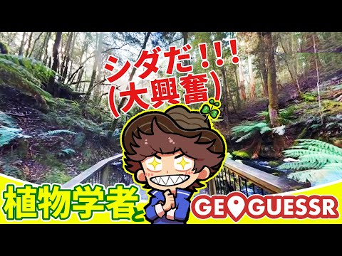 巨大シダ発見！植物学者、ストリートビューから場所当てるの最強説【GeoGuessr】#3