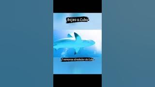 Bojeo a Cuba. Conocer para actuar