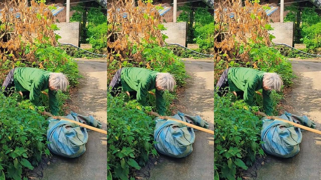 #反面教材传递正能量 #严厉打击违法犯罪 #天天拍视频