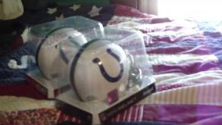 Chicago Fansedge show Wealth