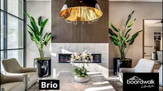 Brio - Brentwood, Calgary - Rental Apartments