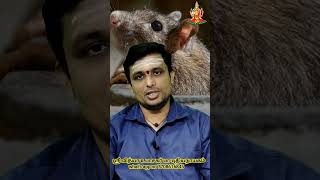 எல கனவல வநதல எனன பலன